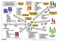 Thumbnail for version as of 01:24, 27 January 2024
