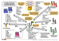 Thumbnail for version as of 00:27, 29 January 2024