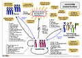 Thumbnail for version as of 01:21, 27 January 2024